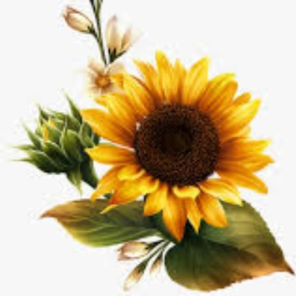 Read ~ Important 🦋 - Picture 1 of 1